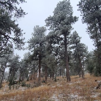Lookout Mountain Park - Parks Near Me - Golden, Colorado Lookout Mountain Park - Parks Near Me - Golden, Colorado