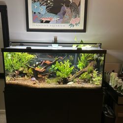 Aquarium - My aquarium. Most everything came from "Aquarium Papermill"