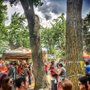 Photo of parral