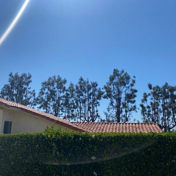 M&M Tree Service - Tree Services Near Me - La Puente, California