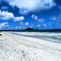 Castles Beach - The life...