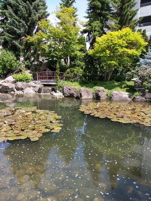 Kasugai Gardens by null