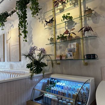 Coffee and Plants - Coffee & Tea Near Me - Studio City, California