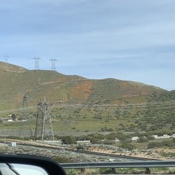 Antelope Valley Freeway - Wild Poppies