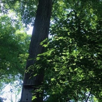 Tookany Creek Parkway - Parks Near Me Tookany Creek Parkway - Parks Near Me