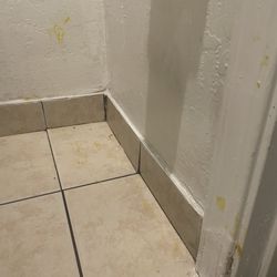 Gilroy Inn - There is macaroni noodles on the wall of the bathroom they defiantly didn't clean at all