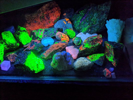 Electric Ladyland - Museum of Fluorescent Art by null