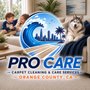 Pro Carpet Care