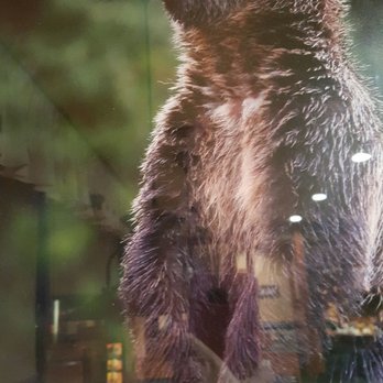 Black Bear Diner Barstow - Breakfast & Brunch Near Me - Barstow, California