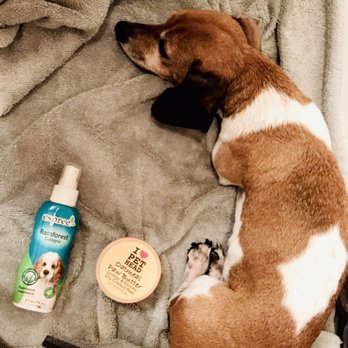 LiLu petcare - Pet Sitting Near Me LiLu petcare - Pet Sitting Near Me