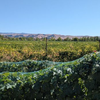Cuda Ridge Wines - The views - Wineries Near Me - Livermore, California