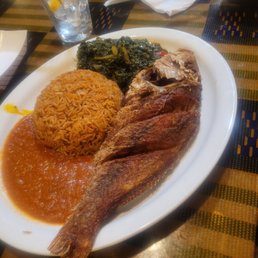 Jumbo Red Snapper