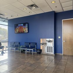My Dr Now - scooby doo in the lobby