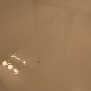 San Palacio by Mark-Taylor - Dirt in countertop. - Apartments Near Me - Chandler, Arizona San Palacio by Mark-Taylor - Dirt in countertop. - Apartments Near Me - Chandler, Arizona