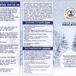 Young Scholars Institute