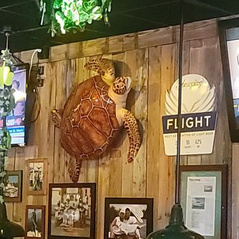 Flanigan's - Boca Raton - The best decor. Turtle! - American Near Me - Boca Raton, Florida