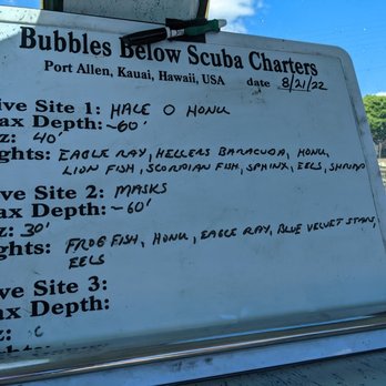 Bubbles Below Scuba Charters, Inc - Today's dives and what we saw - Boating Near Me - Eleele, Hawaii