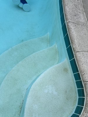 FIVE GUYS POOLS - Updated January 2026 - 14 Photos & 10 Reviews