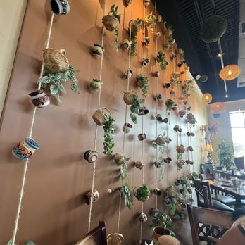Maiz Cocina Mexicana - Beautiful decoration - Mexican Near Me - San Antonio, Texas Maiz Cocina Mexicana - Beautiful decoration - Mexican Near Me - San Antonio, Texas
