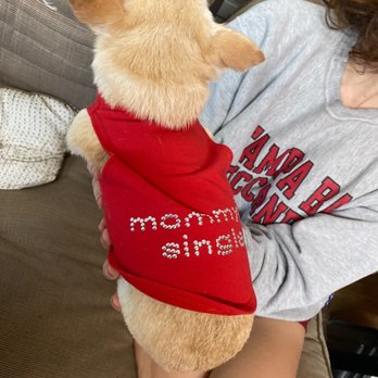 Dawg Team Apparel USA - Clothing for my dog - Pet Stores Near Me - Memphis, Tennessee Dawg Team Apparel USA - Clothing for my dog - Pet Stores Near Me - Memphis, Tennessee