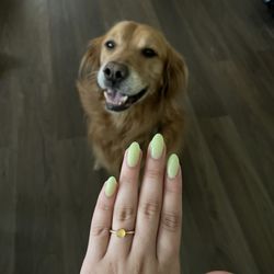 Plaza Nails - Dip on real nails, almond shaped.