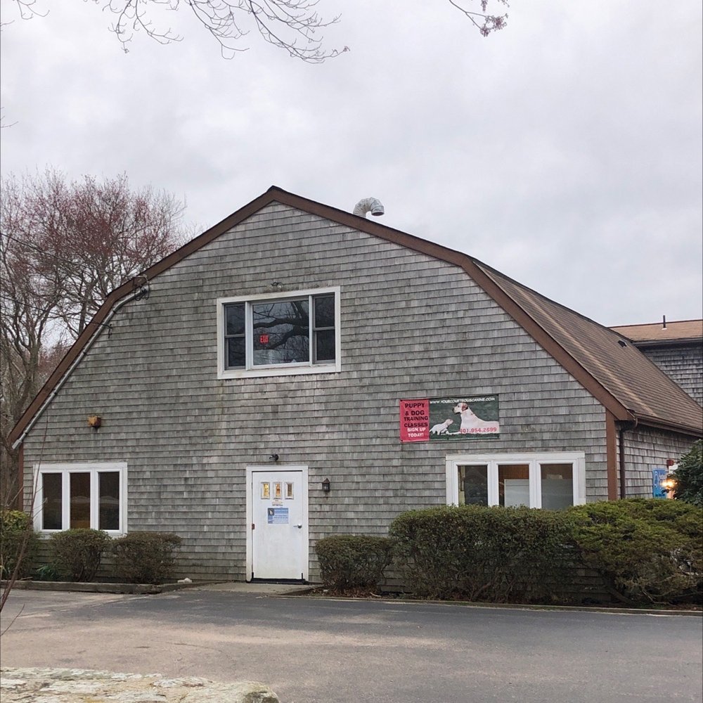 COURTEOUS CANINE Updated September 2024 4262 Tower Hill Rd, South