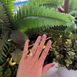 Black Swan Nail and Spa - Cat eye gel mani ($41)