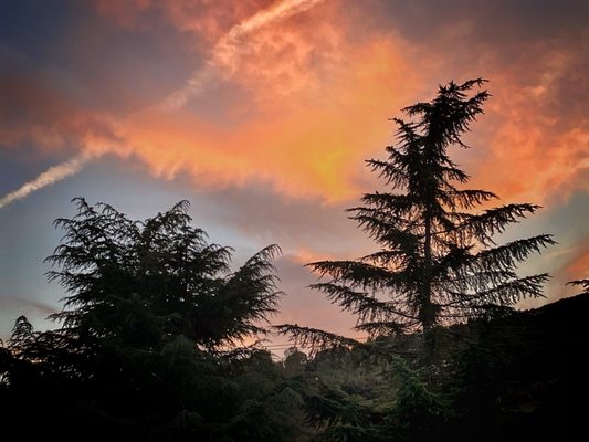 Canyon Gourmet by null