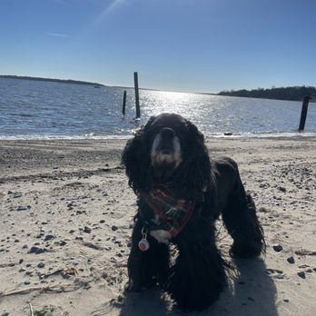 Rocky Point State Park - Beach - Parks Near Me - Warwick, Rhode Island