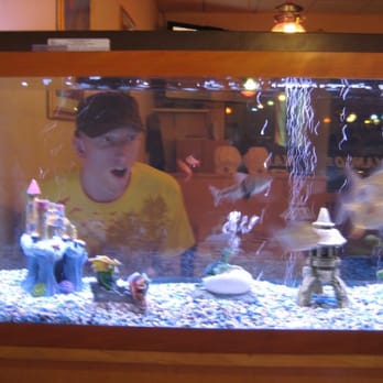 Mango II Thai Cuisine - Piranha tank - Thai Near Me - Tewksbury, Massachusetts