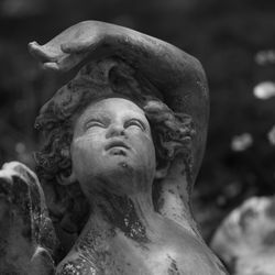 New Jersey Botanical Garden
