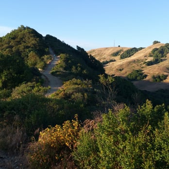 Las Trampas Regional Wilderness - Looking back - Parks Near Me - San Ramon, California Las Trampas Regional Wilderness - Looking back - Parks Near Me - San Ramon, California