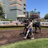 Elite Experience: Tickets to Santa Anita Racing gift card