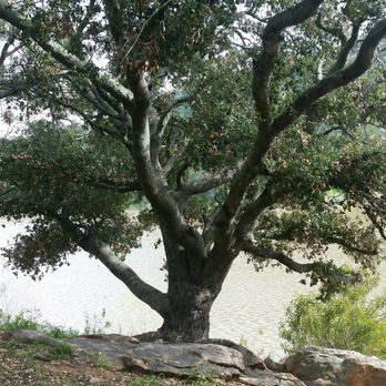 Kumeyaay Trail - Hiking Near Me - Escondido, California