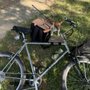 Photo of BikeMax