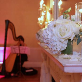Blue Llama Events - Wedding Planning Near Me - Indianapolis, Indiana