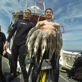 Off Duty Dive Charters - The bounty of the sea - Scuba Diving Near Me - Fort Walton Beach, Florida Off Duty Dive Charters - The bounty of the sea - Scuba Diving Near Me - Fort Walton Beach, Florida