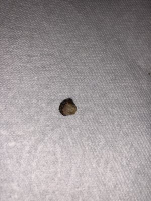 Taco Time NW by null