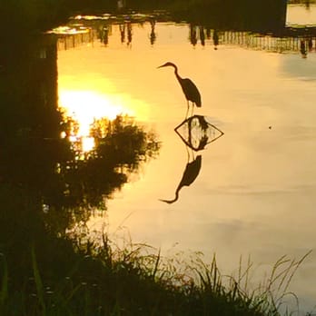 Thomas Jefferson Park - Parks Near Me - Irving, Texas Thomas Jefferson Park - Parks Near Me - Irving, Texas