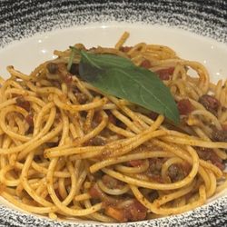 Bolognese