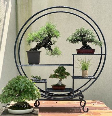 National Bonsai & Penjing Museum by null