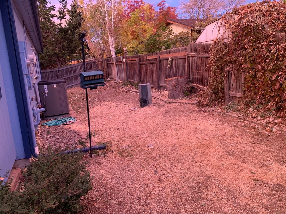 JUST TREES Updated June 2024 15 Photos 20526 Flint Ln, Morrison