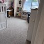 Photo of Geraghty Carpet Clean