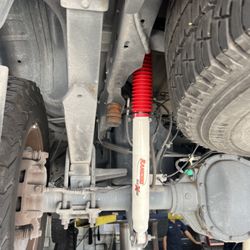 Tire Kingdom