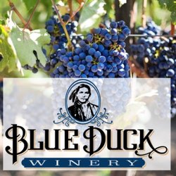 Blue Duck Winery