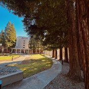 SAN RAMON MARRIOTT - 271 Photos & 264 Reviews - 2600 Bishop Drive, San ...