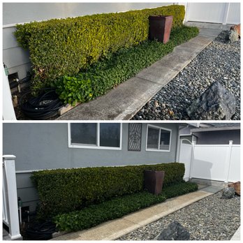 SUDZZ Powerwashing - Pressure Washers Near Me SUDZZ Powerwashing - Pressure Washers Near Me