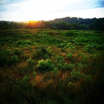 Outlanders River Camp - Sunrise view from the tall platform deck. This area hosted lots of birds, especially Red Wing Blackbirds - Campgrounds Near Me - Luray, Virginia