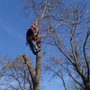 Photo of E & J Tree Service