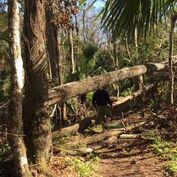 DeLeon Spring State Park - Be ready to step over some fallen trees on the Monkey Island Trail... challenge accepted - Parks Near Me - De Leon Springs, Florida DeLeon Spring State Park - Be ready to step over some fallen trees on the Monkey Island Trail... challenge accepted - Parks Near Me - De Leon Springs, Florida